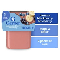 Gerber 2nd Foods Natural for Baby WonderFoods Baby Food, Banana with Mixed Berry, 4 oz Tubs (16 Pack)