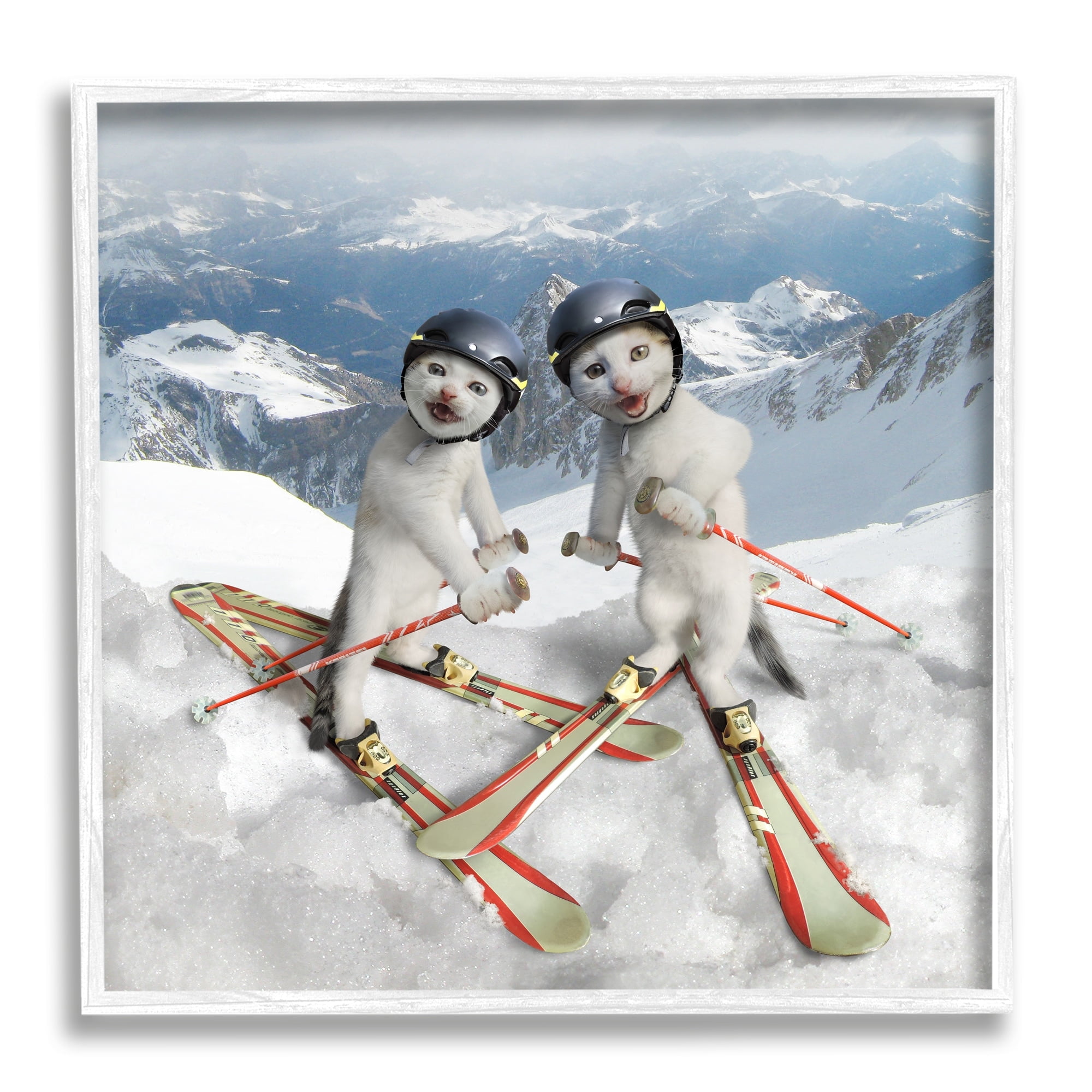 Stupell Industries Humorous White Cats Skiing Gear Snowcapped Mountains Graphic Art White Framed Art Print Wall Art, Design by Chiara
