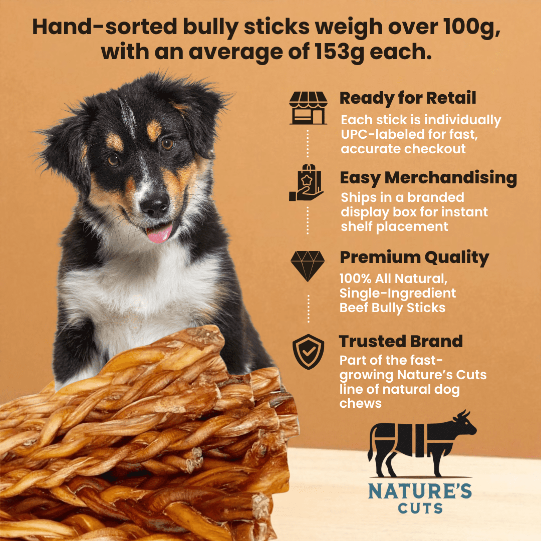 12" Monster Braided Bully Sticks Display Box (10 ct) with Individual UPC Tags - 100% All Natural Beef
