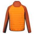 thumbnail image 2 of Regatta Veste Hybride Andreson VIII pour Hommes, 2 of 5