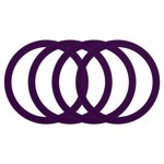 4Pcs Magnetic Adapter Ring, Magnetic Wireless Charger Conversion Kit, Purple