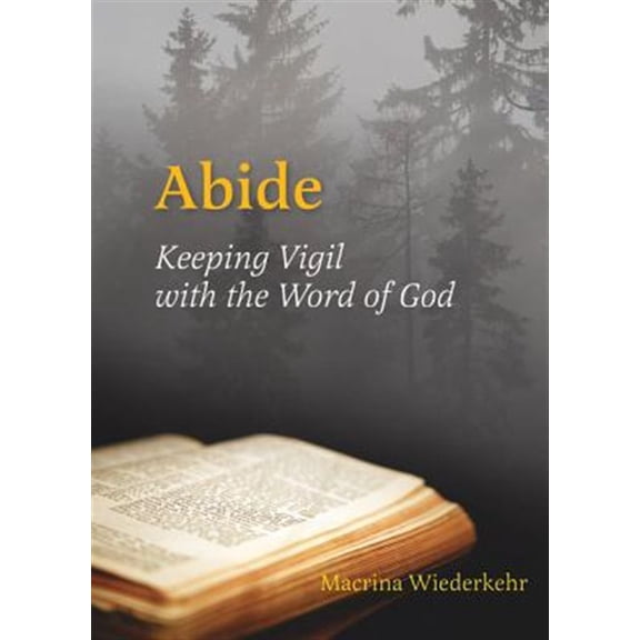 Pre-Owned Abide: Keeping Vigil with the Word of God (Paperback) 0814633838 9780814633830