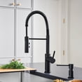 thumbnail image 6 of Blanco 401917 Catris 1.5 GPM Single Hole Pre-Rinse Pull Down Kitchen Faucet - PVD Steel, 6 of 7