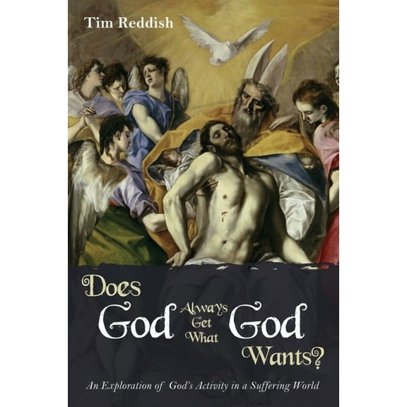Does God Always Get What God Wants?: An Exploration of God's Activity in a Suffering World, (Hardcover)