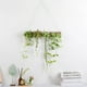 thumbnail image 2 of Plantas colgantes artificiales Yuarrent decoración verde, 2 of 6
