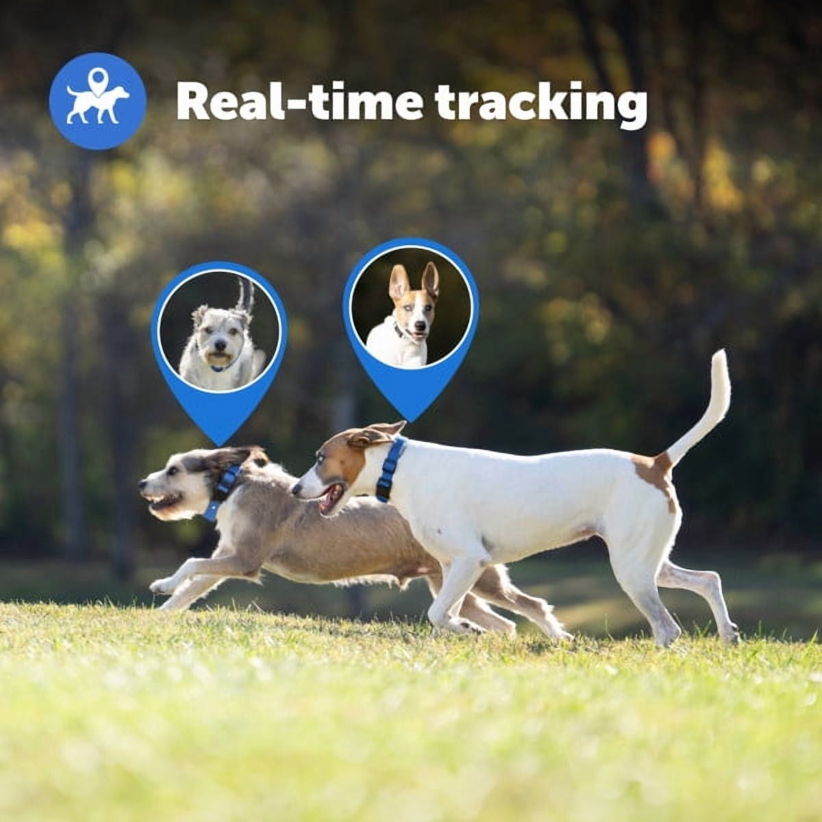 PetSafe Guardian GPS + Tracking Dog Wireless Fence Collar, Over 3/4 Acres, Subscription Required