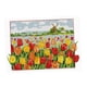 thumbnail image 3 of de de 11CT Tela para adultos principiantes, 3 of 8