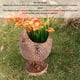 thumbnail image 3 of Maceta con forma de Pollo ANGGREK Resistente A la Intemperie de Resina Para interiores, 3 of 7