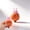 Pink, variant on Carrot Shape Squeeze Ball Cute Easter Bunny Style Large Soft TPR Slow Recovery Hand Grip Decompression Ball Pinch Knead Sensory, 1 Count