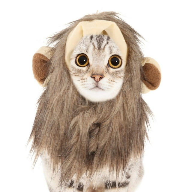 Disfraz de melena para gatos, mascotas, disfraces para gatos, complementos de vestir, melena para gatos, melena para perros pequeños, Halloween, perro L