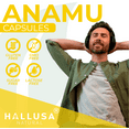 Organic Anamu 100 Capsules – Emotional Wellbeing, Mind Body Balance, Petiveria Alliacea 450 mg, Herbal Supplement for Vitality, Energy, Cellular & Immune Support – Hallusa Natural