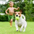 thumbnail image 5 of Pelota de entrenamiento de tenis con cuerda y pelota de rebote duradera, 5 of 5
