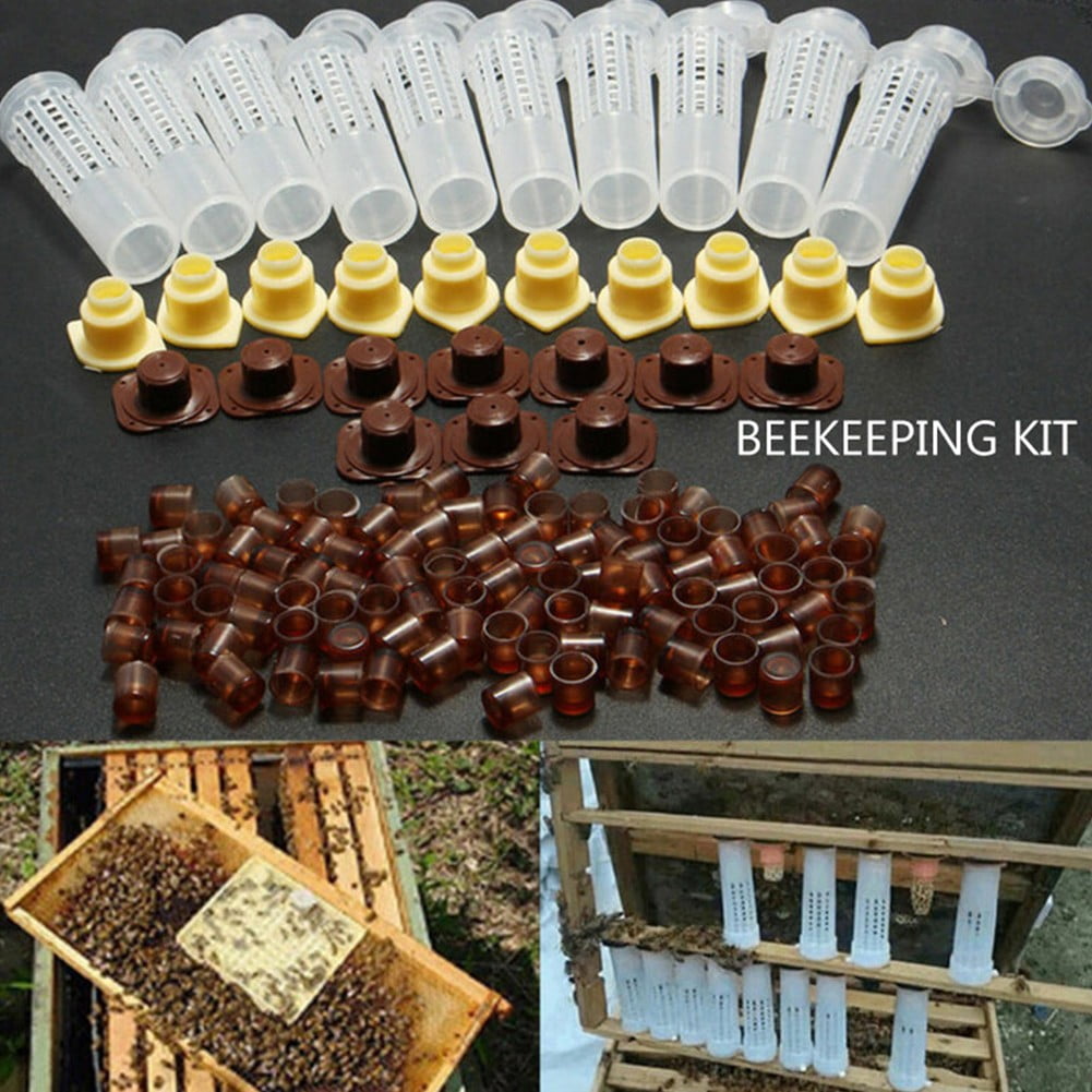 Beekeeping Rearing Cup Kit Queen Bee Cages Beekeeper Equipment Tools Kit 10 PCS 