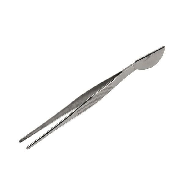 Pinzas para Jardinería Suculentas Bonsái Pinzas para Jardinería de Acero Inoxidable Pinzas para Plantas Herramienta para Bonsái de Jardinería de Largo Pinzas Largas para ANGGREK Otros