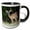 Black/White, variant on 3drose, White-tailed Deer, Buck, Hill Country, Texas - Na02 Rnu0312 - Rolf Nussbaumer, 11oz Two-tone Green Mug