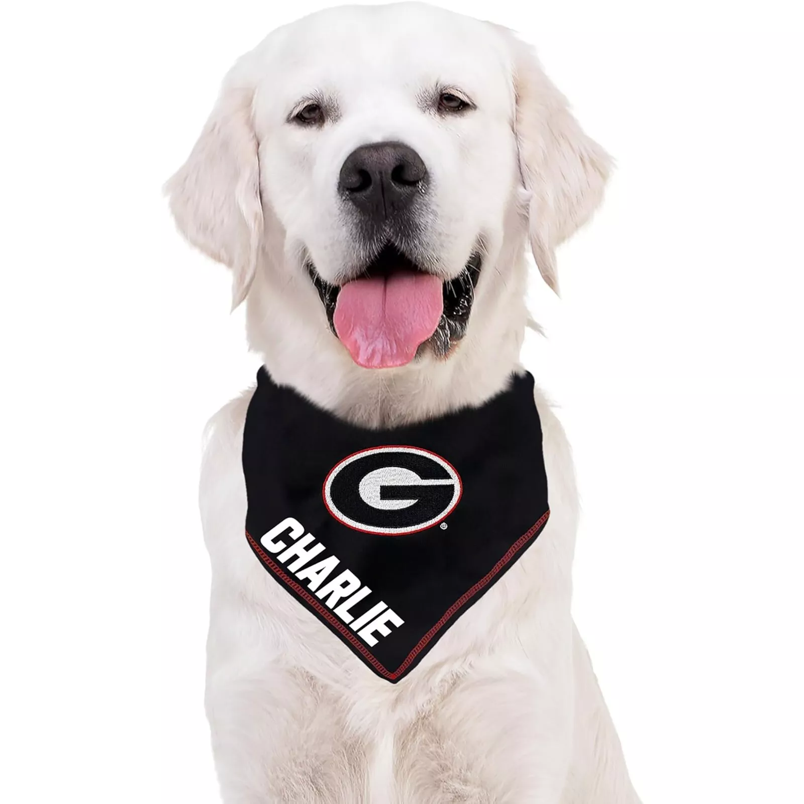 Pets First NCAA Personalized Tie Bandana for Dogs & Cats Sporty Dog Bandana