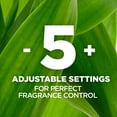 thumbnail image 3 of Air Wick Plug-In Scented Oil Air Freshener Warmer Refills, Brown Sugar and Vanilla, 5 Count, 3 of 10