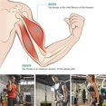 thumbnail image 2 of tredstone Rotating Straight Bar DIY Bicep Pull Up Bar with Hand Grips Rotating Straight Bar for Professional Gyms, 2 of 9