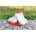 thumbnail image 4 of 100 Uds bolsas de protección de frutas, bolsa de malla con cordón para plagas de insectos y pájaros para accesorios de jardinería para el hogar Rojo Verde Cocina, Decoración y Otros, 4 of 4
