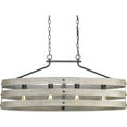 thumbnail image 1 of Progress Lighting P400097-143 17 in. Gulliver 4-Light 75W Med Island Chandelier Ceiling Light in Graphite, 1 of 28