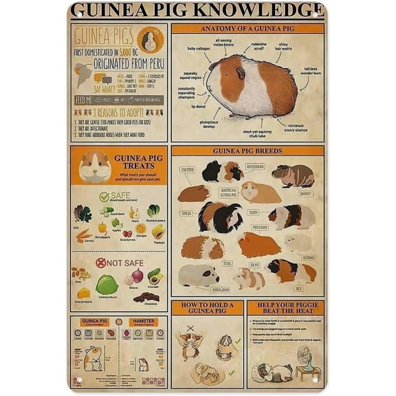 Metal Tin Sign Guinea Pig Knowledge Chart Science Guide Vintage Metal Wall Plaque 8 x 12 Inch for Home Farm Club Room Decor