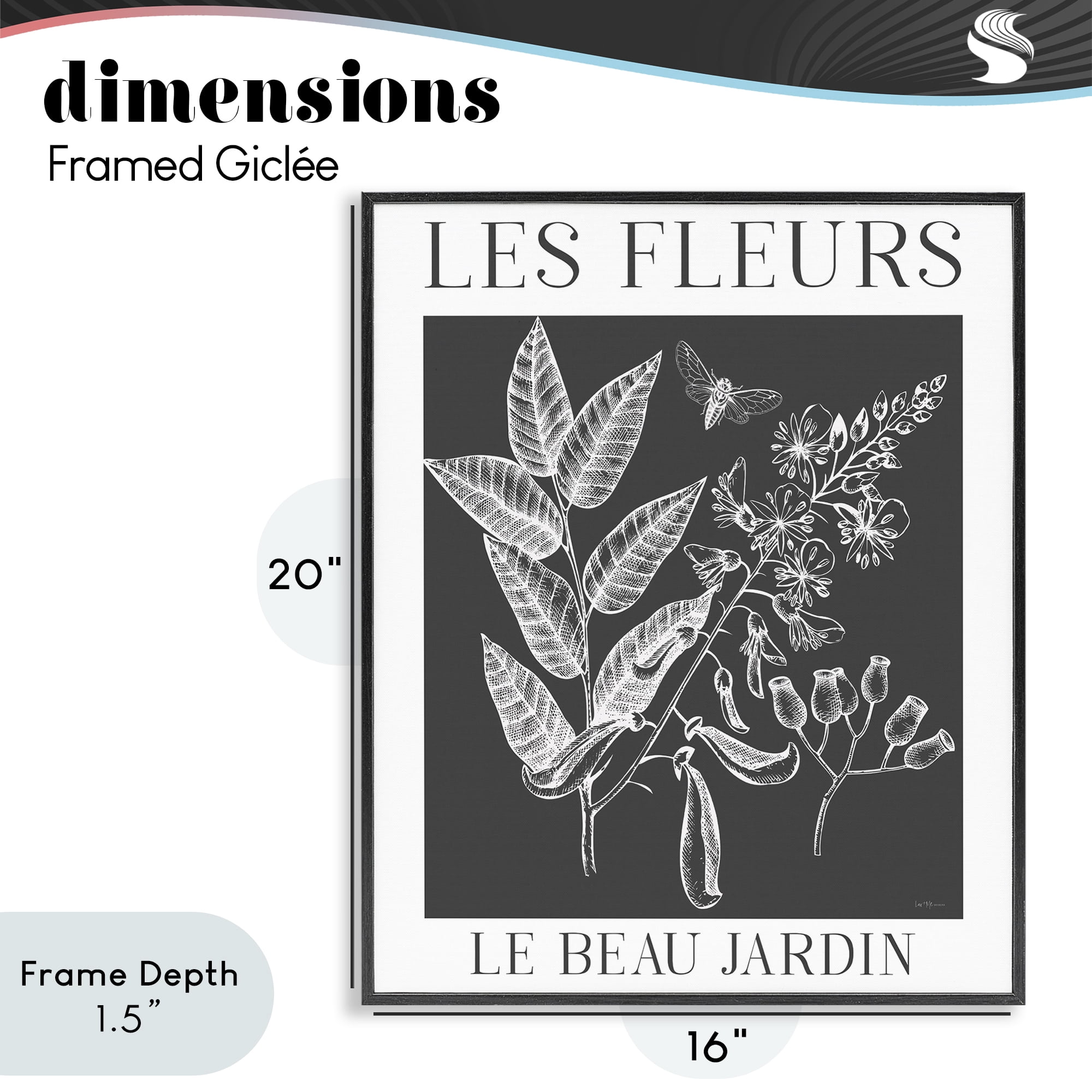 Stupell Industries Les Fleurs Black & White Contour Black Framed Giclee Art, design by Lux + Me Designs
