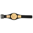 thumbnail image 5 of Set of 12 TNA Jakks Action Figure Championship Belts, 5 of 5