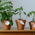 thumbnail image 1 of unbranded 30Ud Soporte Para Plantas Con De De Para Jardinería Y Bonsáis, 1 of 6
