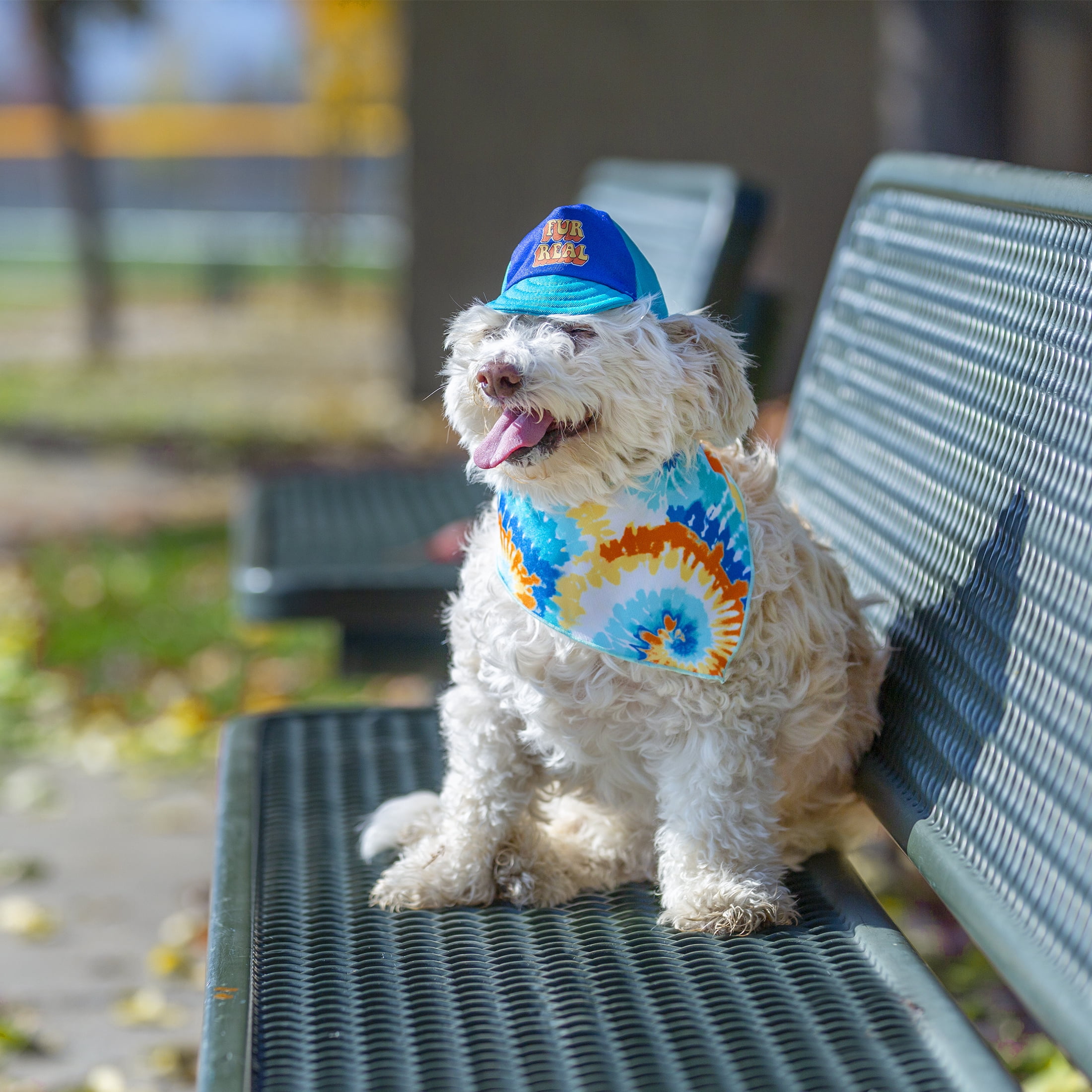 Vibrant Life, Dog Clothes, Tie Dye Swirl Pet Hat and Bandana Set, Multi-Color, O/S