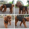 thumbnail image 2 of Ropa de algodón para perros, camiseta de color liso, transpirable y suave, adecuada para gatos y cachorros (2 piezas) (Mediana, Negro + Gris), 2 of 4