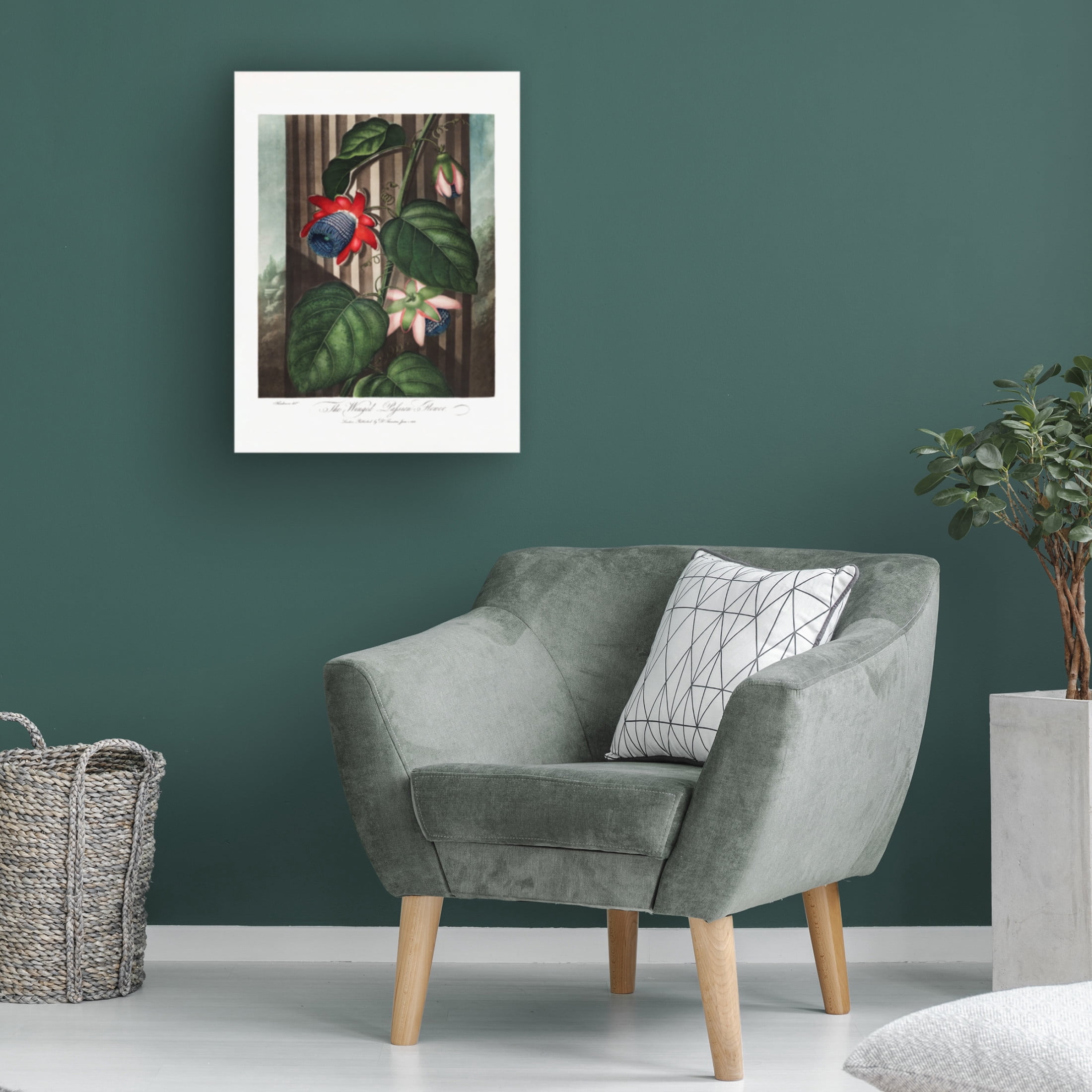 Trademark Fine Art Pictufy  The Winged Passion Flower from The Temple of Flora 1807 Canvas Wall Art