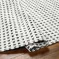 thumbnail image 3 of BoutiqueRugs Bence Traditional, Transitional Area Rug - Silverton, Charcoal, Neutral - 2' x 3', 3 of 8