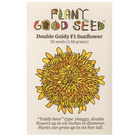 Plant Good Seed Double Goldy Teddy Bear Sunflower Seeds: Yellow Blossoms, Full Sun Annual, Organic