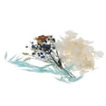 thumbnail image 3 of GUOOL Real Dried Pressed Flowers Natural Plants に適用 Scrapbooking, DIY Candle, D, 3 of 8