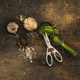 thumbnail image 3 of ZWILLING TWIN Select Stainless Steel Kitchen Shears, 3 of 8