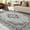 Gray, variant on Lochas Soft Vintage Floral Area Rugs Floor Carpet Non Slip Rug for Living Room Bedroom Dining Kitchen Home Decor,4'x6',Gray