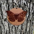 thumbnail image 4 of American Silkworm Moth - Cedar Ornament, 4 of 4