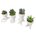 thumbnail image 1 of Maceta Suculenta Artificial, Maceta De Suculentas Falsas De Plástico De Cerámica Con Forma Humana Libre De Sol Exquisita Para Decoración, 1 of 7