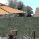 thumbnail image 4 of Artificial Ivy Privacy Fence Screen, 118x19.6in Artificial Hedges Fence And Faux Ivy Vine Leaf Deco, 4 of 5