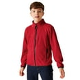 thumbnail image 3 of Regatta Professional Boys/Girls Microfleece Full Zip Fleece Jacket, 3 of 4