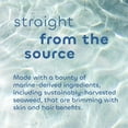 thumbnail image 4 of SBC DETOX SCRUB REFRESC ( 1 X 6 OZ ), 4 of 8