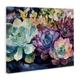 thumbnail image 2 of Stupell Industries Eclectic Tutti Succulents Collection Canvas Art, 20 x 16, by Svetlana Aleynikova, 2 of 8