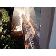 thumbnail image 2 of Set Bird Spike Bird B Gone, 1,8 m x 13 cm, transparente, 2 of 3