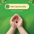 thumbnail image 4 of Natures Craft Kids Elderberry Gummies with Zinc and Vitamin C, Immune Support Supplement, 90 Count, 4 of 11