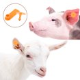 thumbnail image 3 of Miangastore 100 Sets Blank Livestock Ear Tags Livestock Identification Animal Ear Tags, 3 of 8
