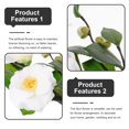 Axio Artificial Flower DIY Layout Camellia Pick for Table Centerpiece