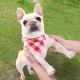thumbnail image 3 of Baberos triangulares para mascotas Apuakthei Classic Buffalo Plaid, bufandas para perros con cuadros rojos y verdes, 3 of 5