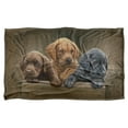 thumbnail image 2 of Wild Wings Puppies Silky Touch Super Soft Throw Blanket 36" x 58", 2 of 6