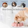 thumbnail image 3 of Cuenco para perros de alimentación lenta para mascotas, evita asfixia, diseño saludable MFZFUKR BST3010102-1, 3 of 6