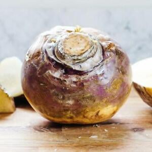 

2000 American Purple Top Rutabaga Brassica napus Non-GMO Free Shipping